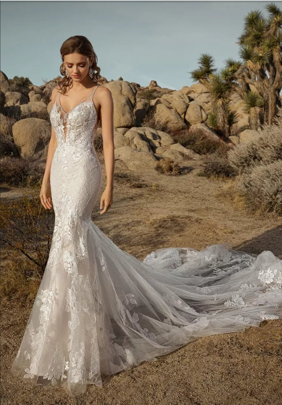 Crystal Beaded Drop V Neck Mermaid Gown With Court Train