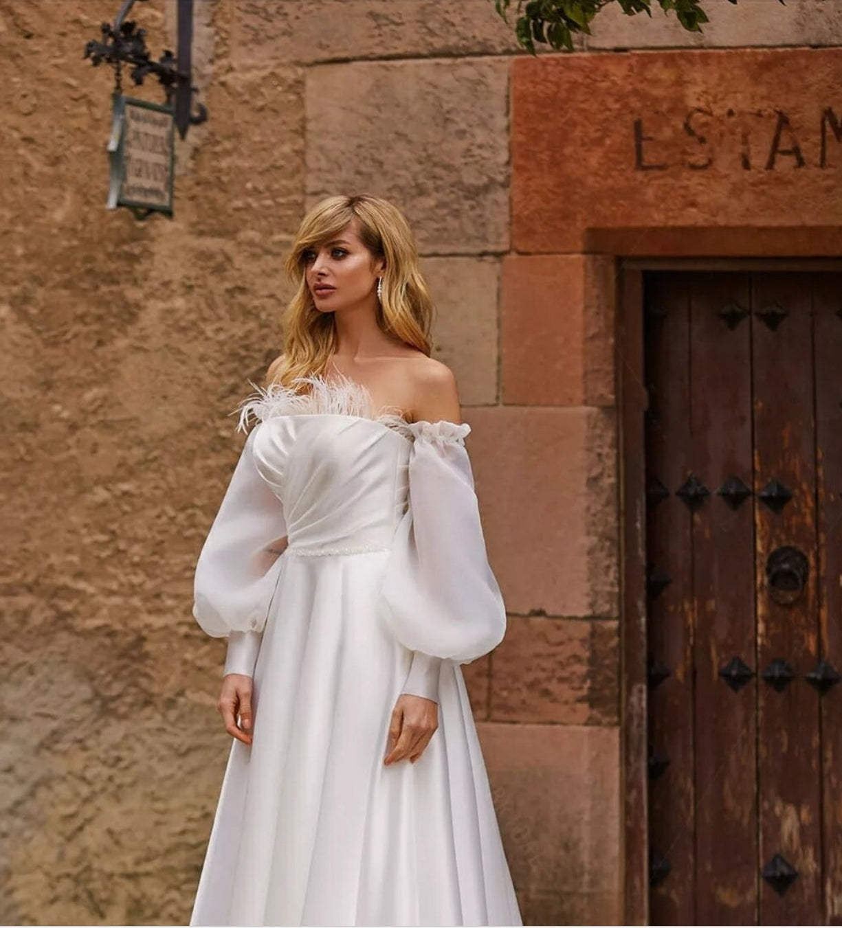 Elegant Detached Organza Full Sleeves