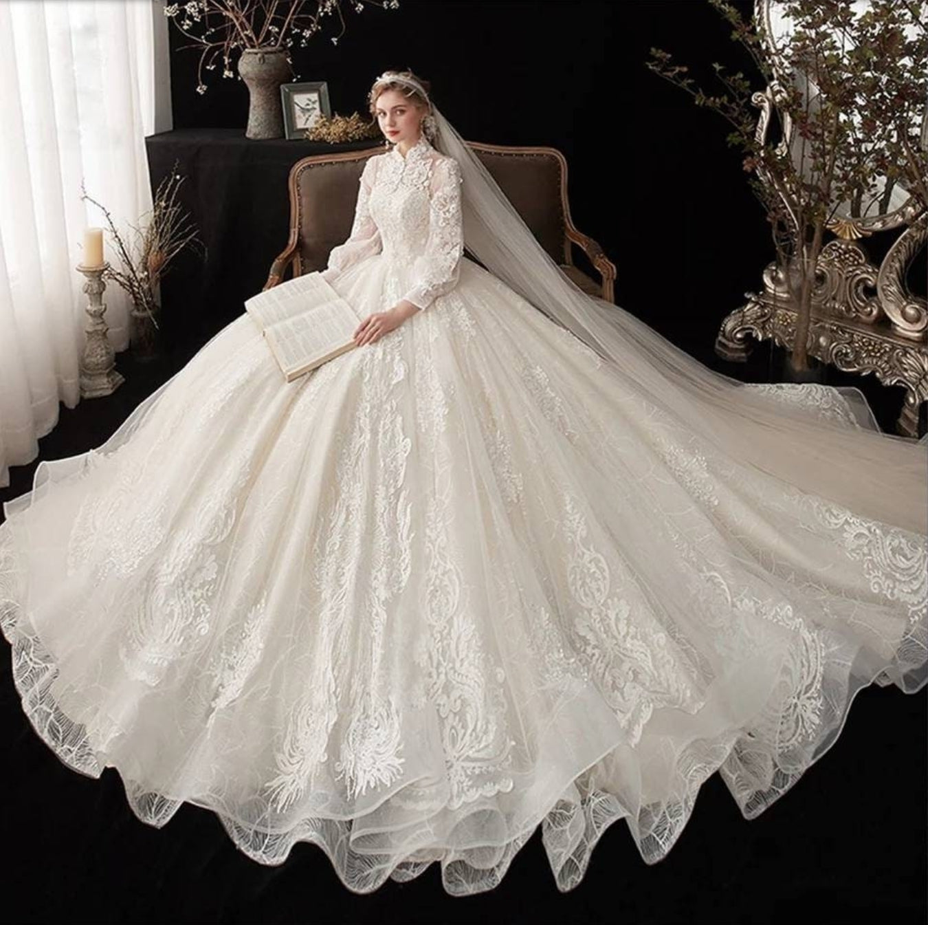 Princess Lace Pearls And Appliques Wedding Gown