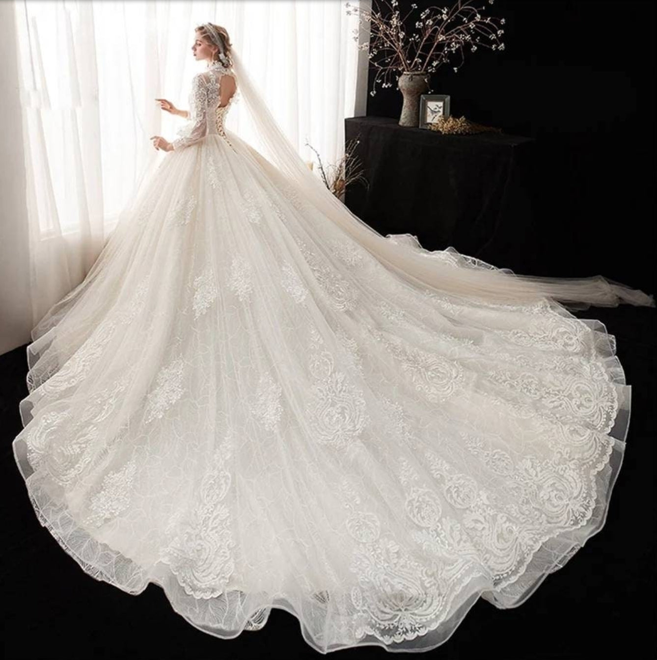 Princess Lace Pearls And Appliques Wedding Gown