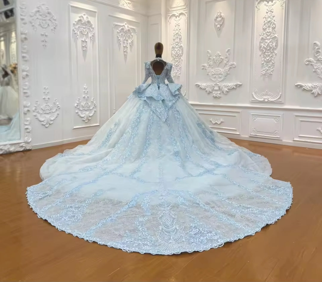 Immaculate 2025 Baby Blue Non-Traditional Long Sleeve Multi Beaded Draped Sweetheart Princess Bridal Ball Gown