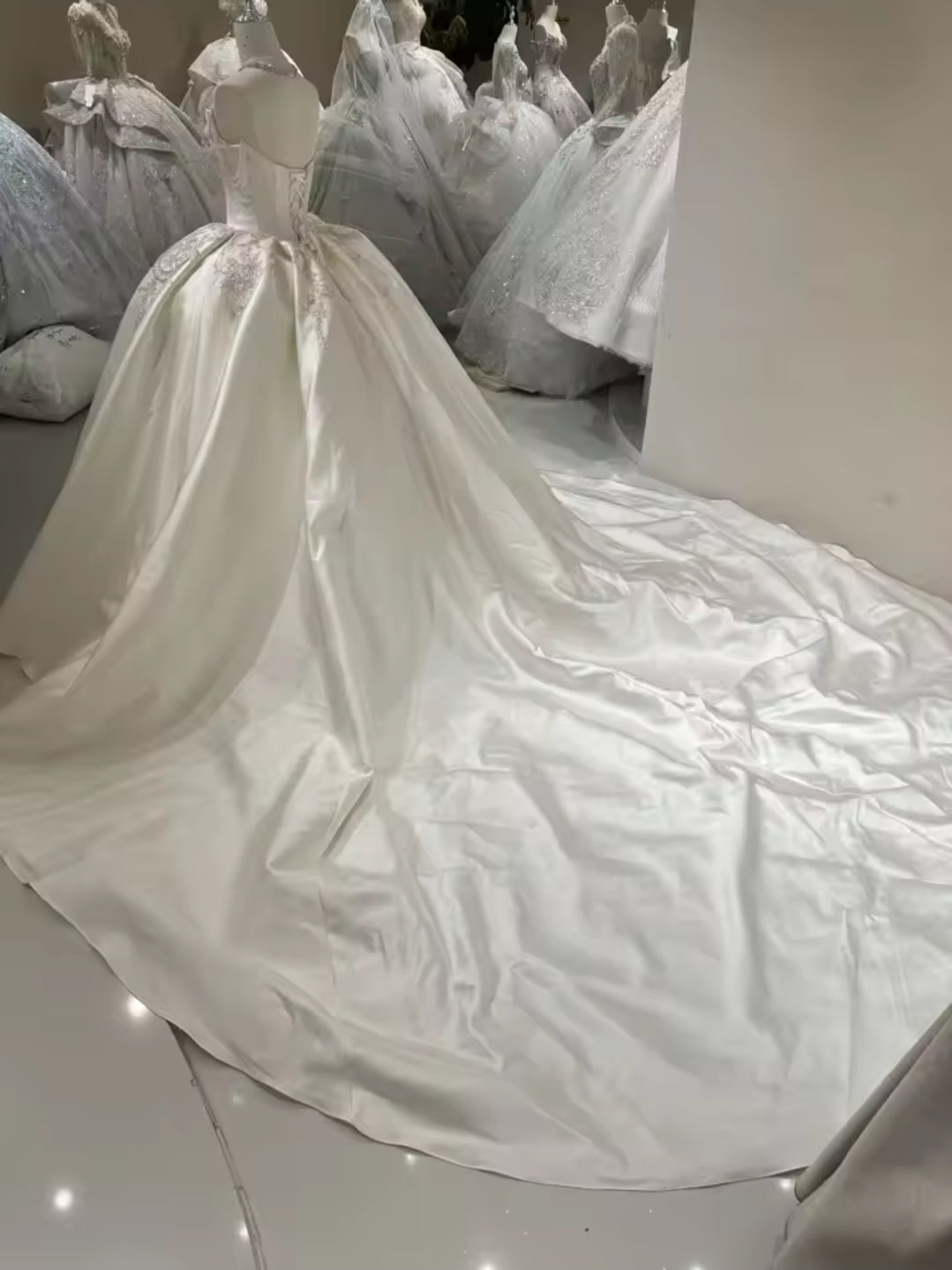 Multi Beaded Draped Off The Shoulder Sweet Princess Multi Embellished Corset Waistline Bridal And Ceremonial Gown With Neck Piece