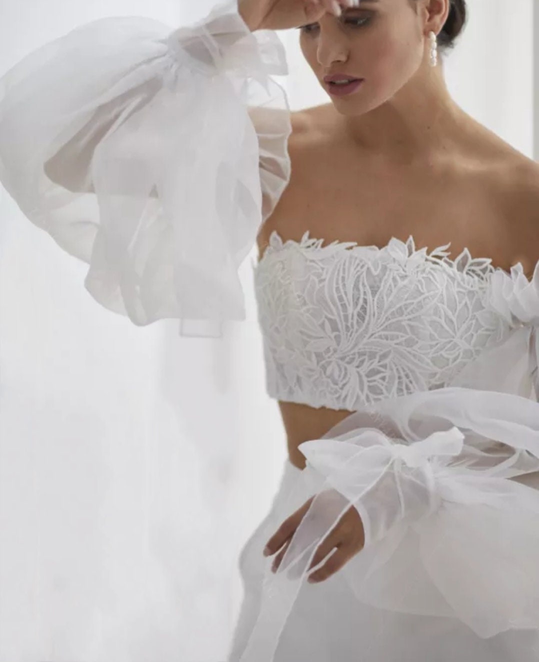 Detached Ruffles & Ribbon Transparent Full Length Sleeves