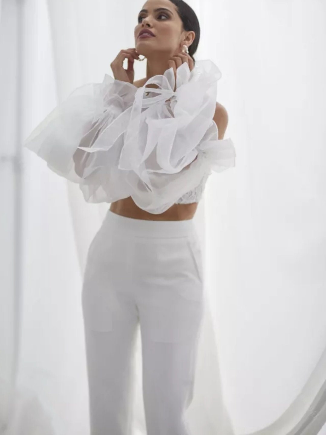 Detached Ruffles & Ribbon Transparent Full Length Sleeves