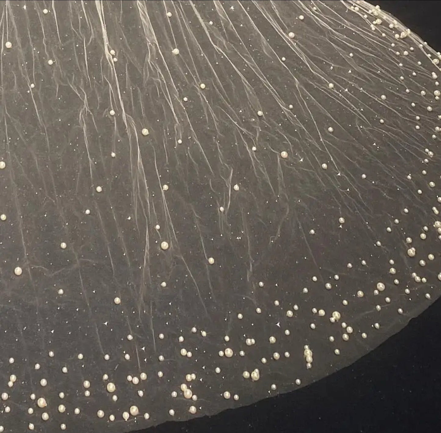 Glittering Scattered Pearl Beaded Bridal Veil With Comb