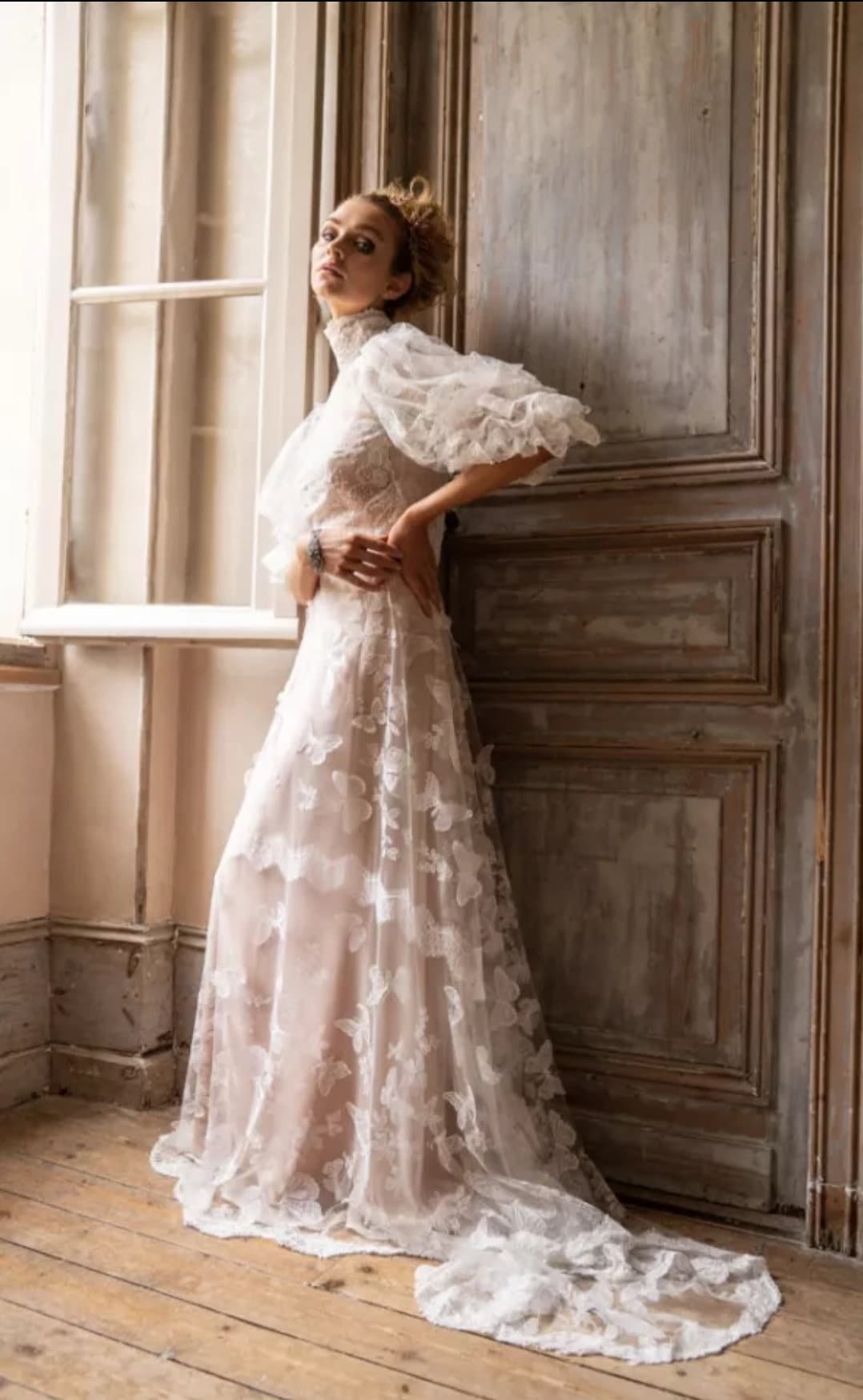 Embroidered Butterflies & Lace Half Sleeve Dress