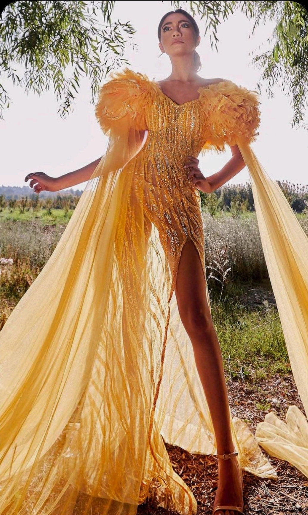 Detached Shoulder Puff Tulle & Sequins Dramatic Floor Length Draped Sleeves