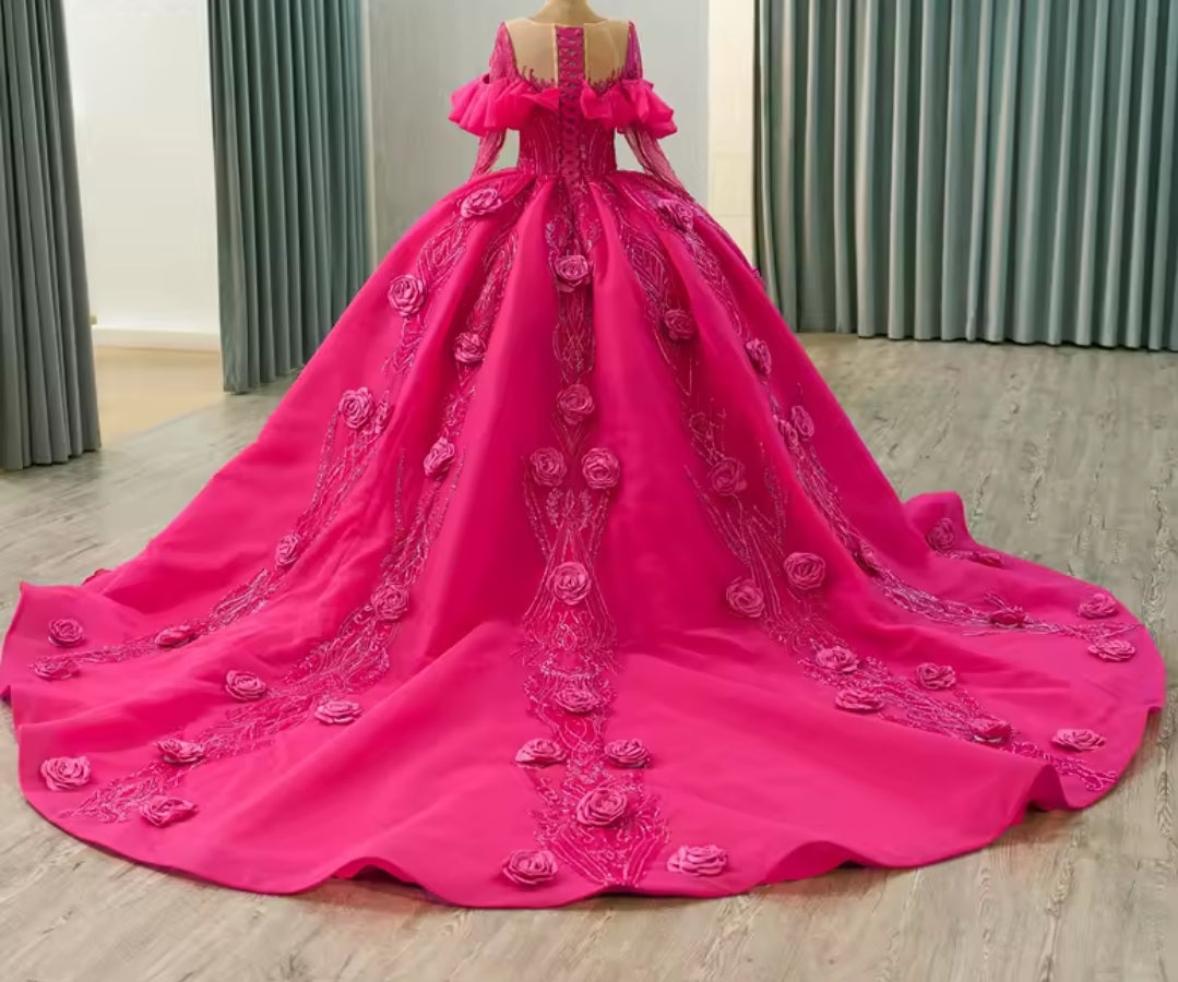 Beautiful Pink Illusion Long Sleeve Ruffled A-Line 3D Scattered Floral Ball Gown