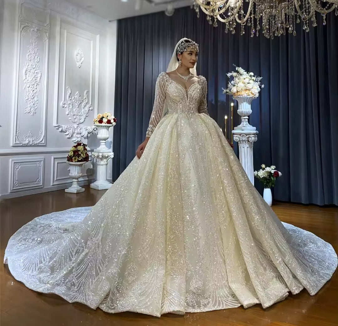 Full Sleeve Gorgeous Beaded Sparkle Princess Ball Gown