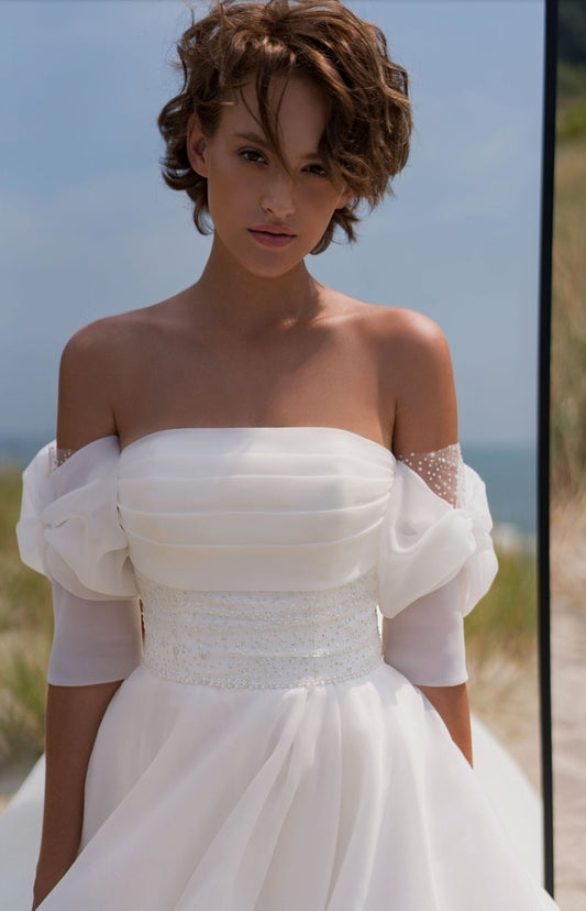 Beaded & Pleated Bodice Gown With Detached Dotted Bow Sleeves