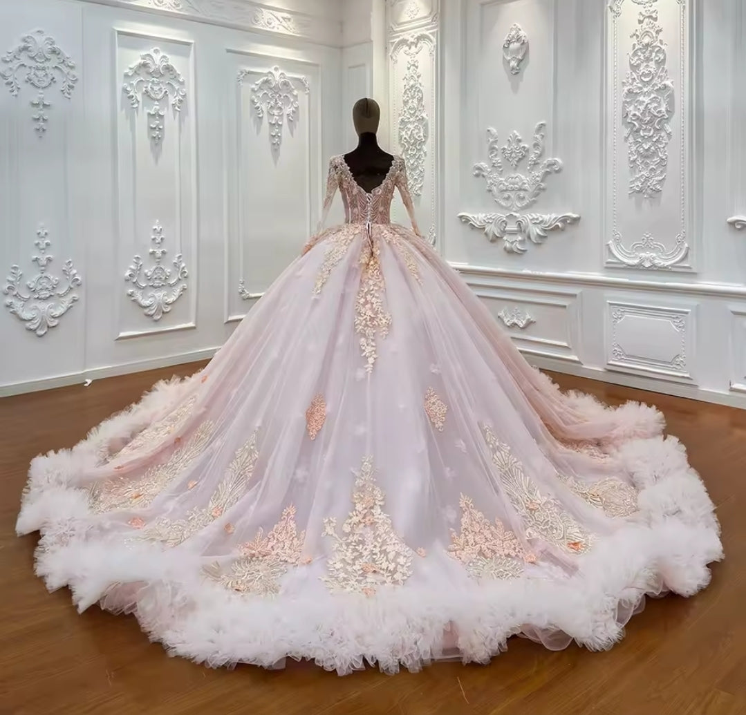 2025 Baby Pink Non-Traditional Floral 3D Appliqués Bridal Gown or Quinceañera, Pageant, Bat Mitzvah, Sweet 16 Ball Gown