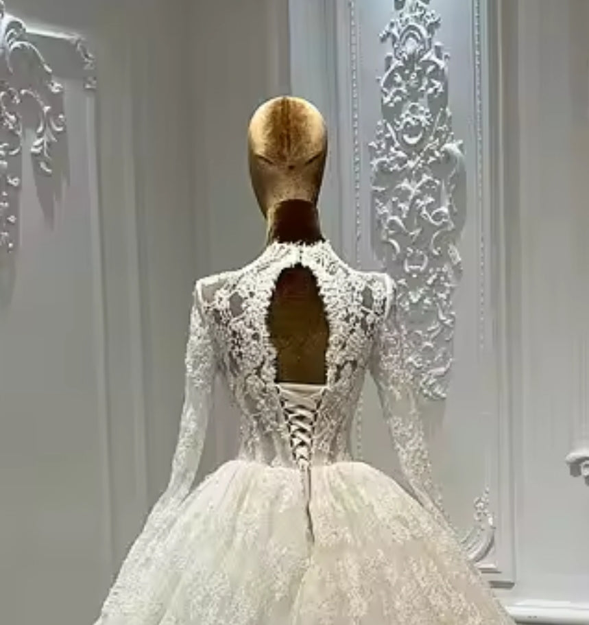 Plunging Neckline Long Sleeve Elegant Eyelash Lace Bridal & Ceremonial Gown