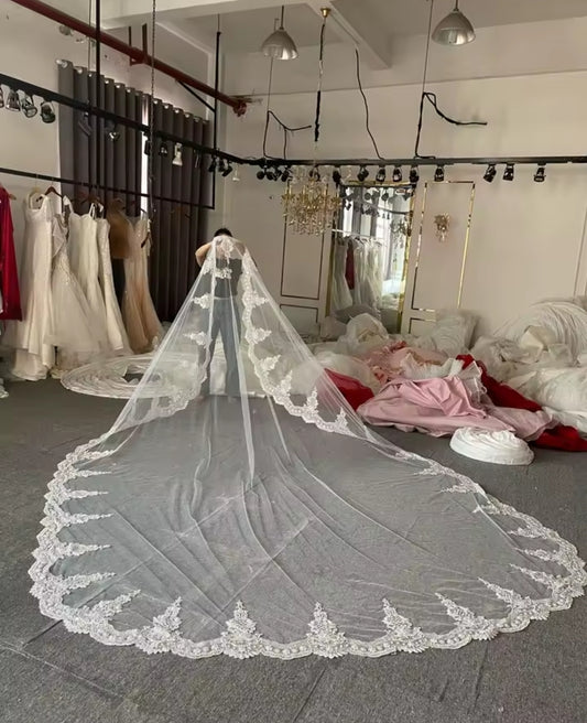 Elegant Ivory Sequinned Lace Trim Edged 400 CM Long Veil