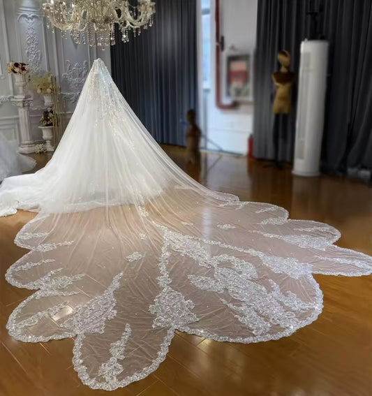 Stunning Luxurious 500 CM Long Cathedral Multi Beaded Fairytale Princess Veil