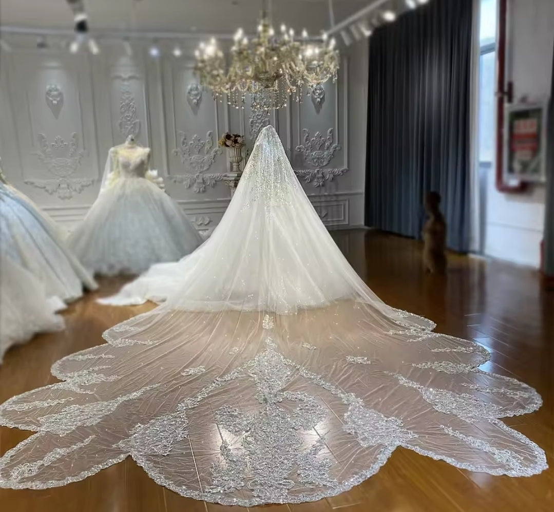 Stunning Luxurious 500 CM Long Cathedral Multi Beaded Fairytale Princess Veil
