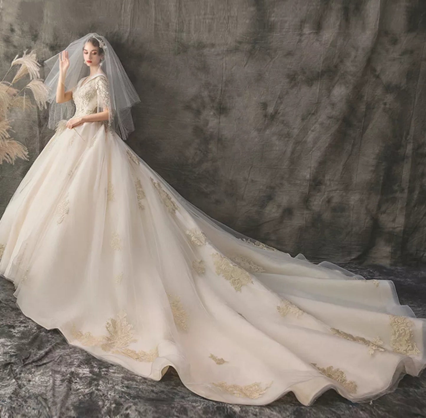 Princess V Neck Applique Beaded Wedding Ball Gown