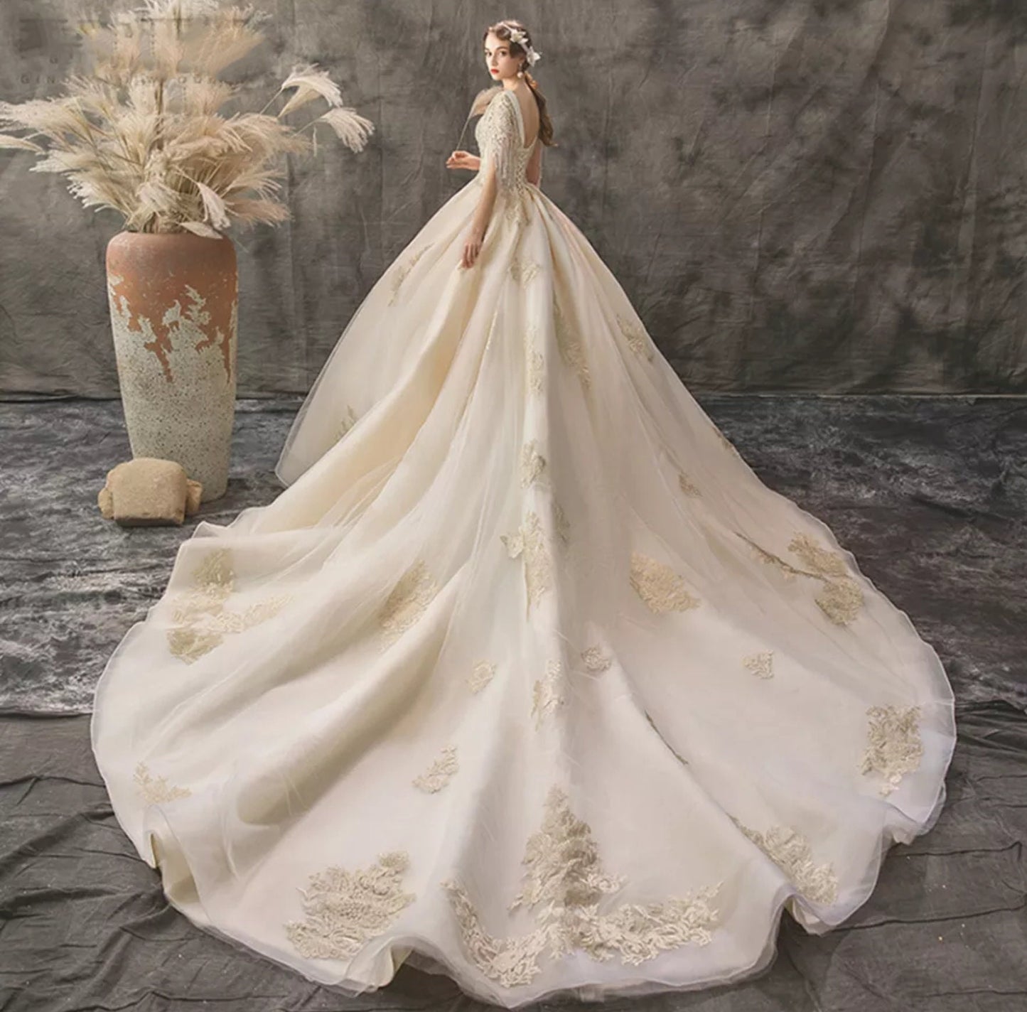 Princess V Neck Applique Beaded Wedding Ball Gown