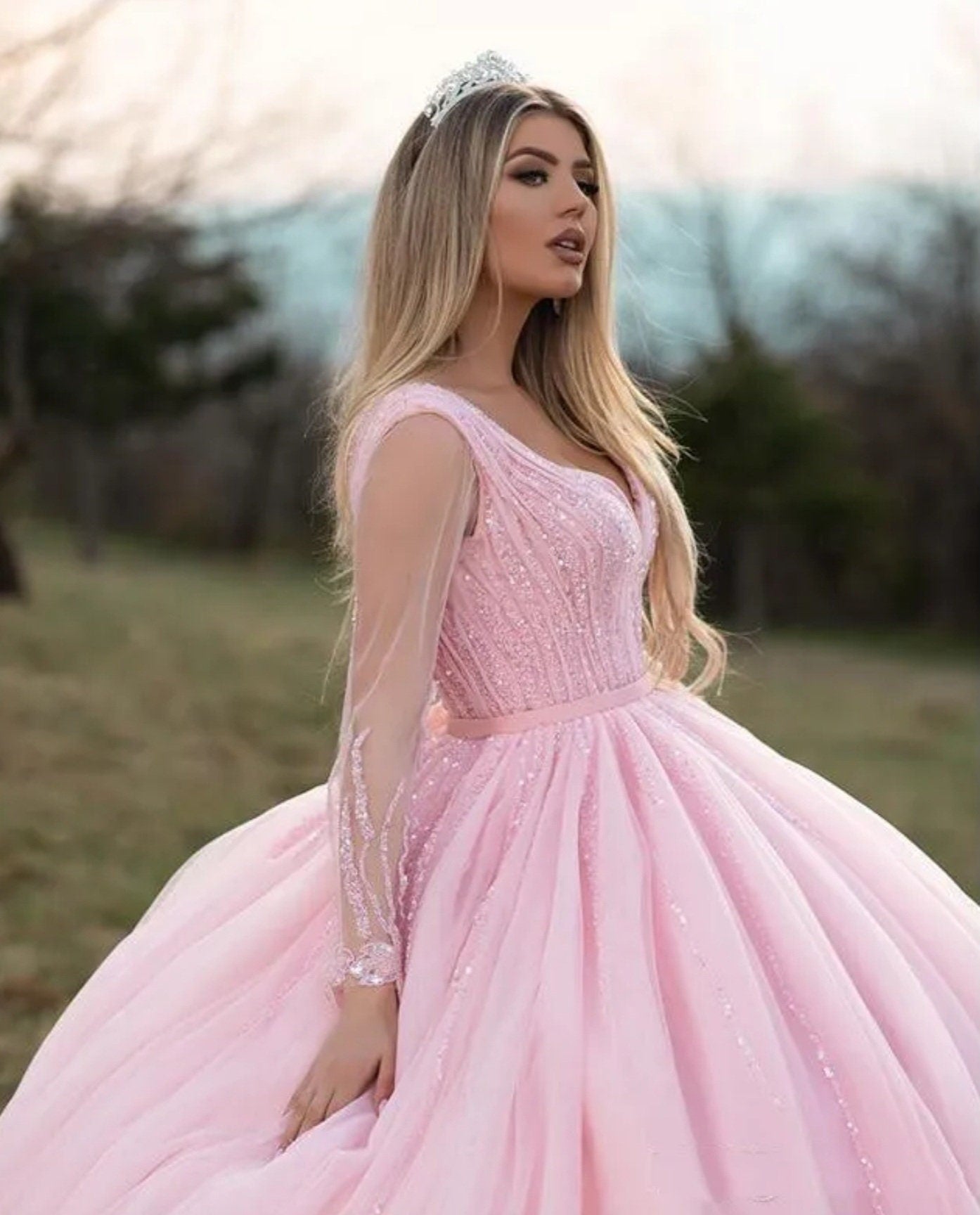 Princess Pink Sheer Long Sleeve Sequin Bodice A-Line Quinceañera Special Occasion Pageant Party Event Ball Gown