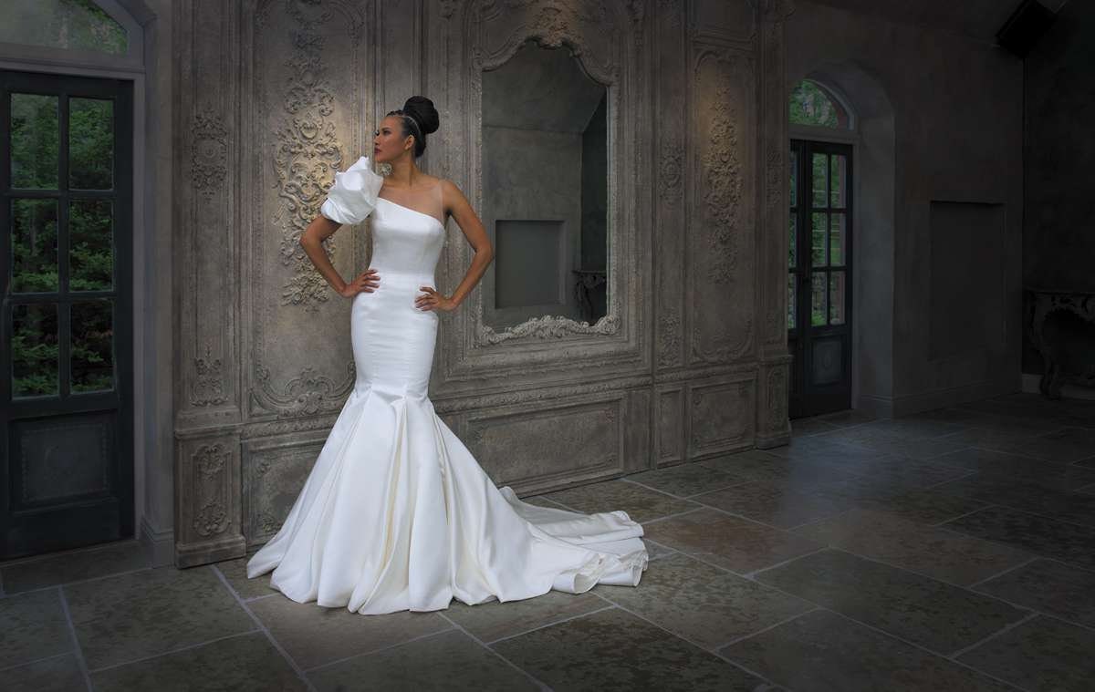 One Shoulder Cloud Sleeve Asymmetrical Illusion Neckline Pleated Fit & Flare Fishtail Gown