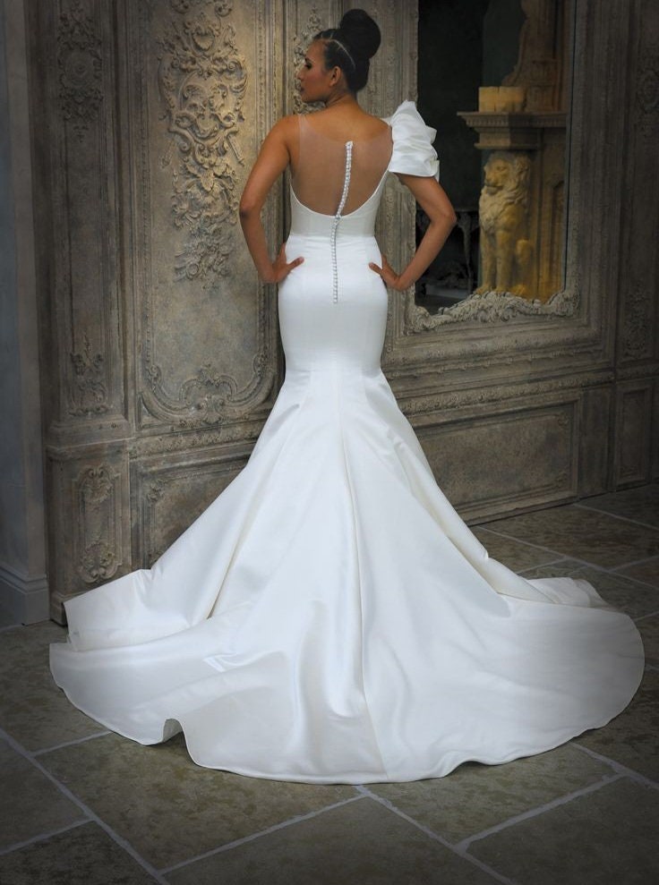 One Shoulder Cloud Sleeve Asymmetrical Illusion Neckline Pleated Fit & Flare Fishtail Gown