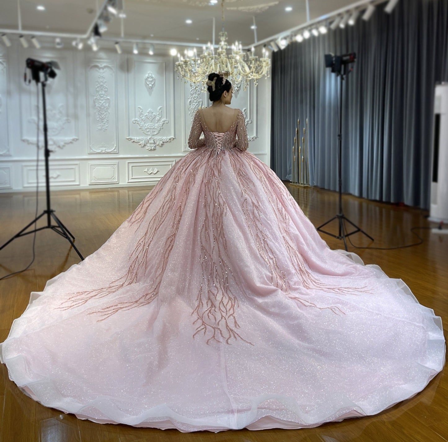 Pink Beaded Sequin 2023 Long Sleeve Illusion Sweetheart Prom Special Occasion Gala Quinceañera Princess Bridal Ball Gown