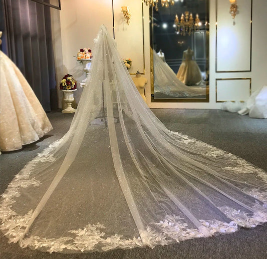 Floral Lace Edged Shimmering Glitter Tulle Veil